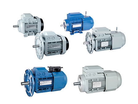 효율적이고 신뢰할 수 있는 3 상 비동기 모터 솔루션의 전문가입니다